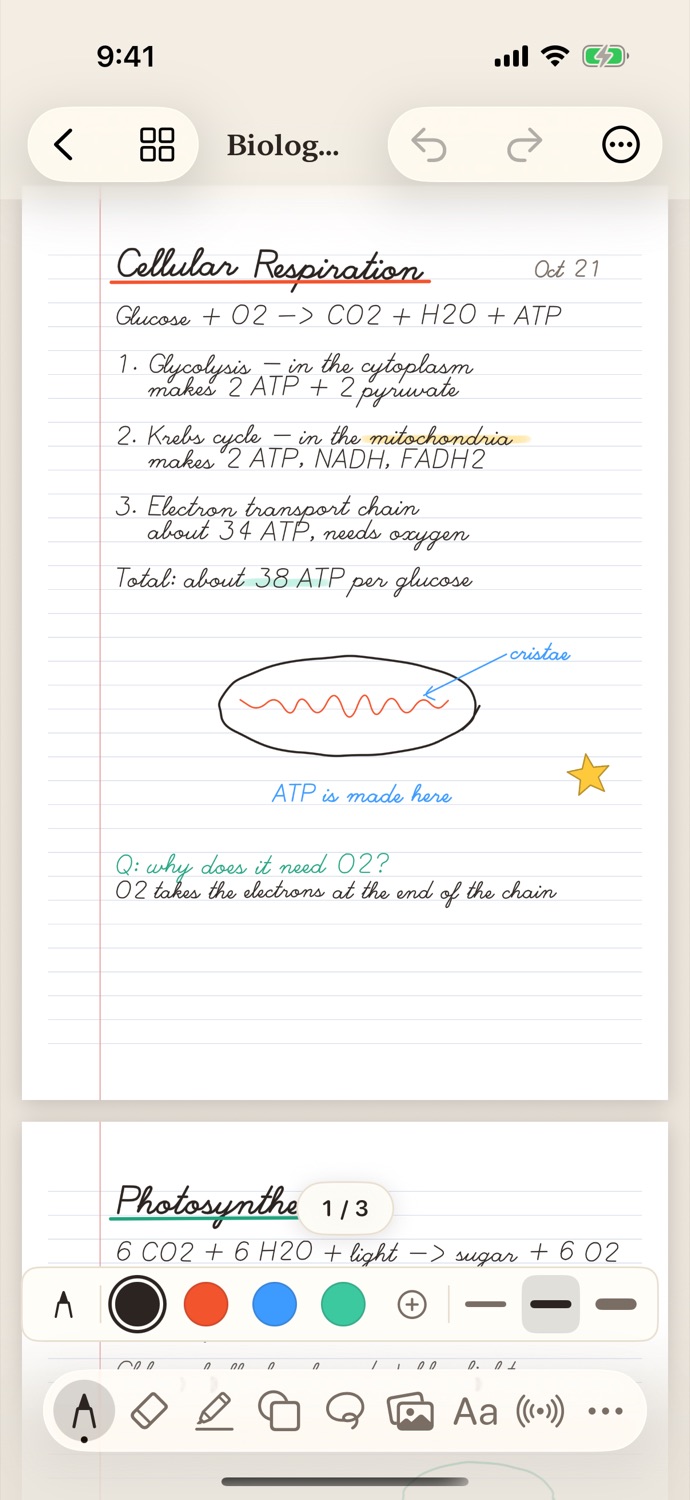 A handwritten page on iPhone